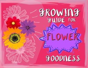 flower COVER PIC