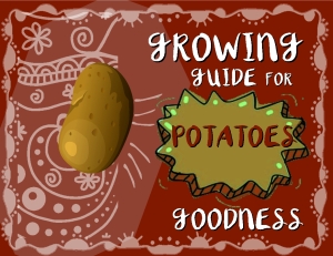 potatoes COVER PIC