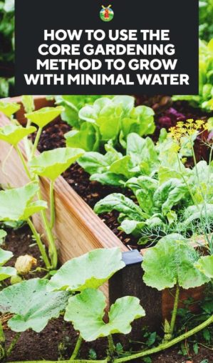 how-to-use-the-core-gardening-method-to-grow-with-minimal-water-pin-470x800