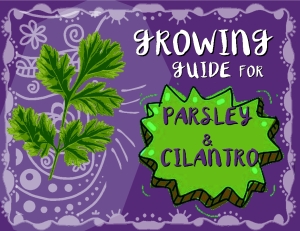parsley cover pic